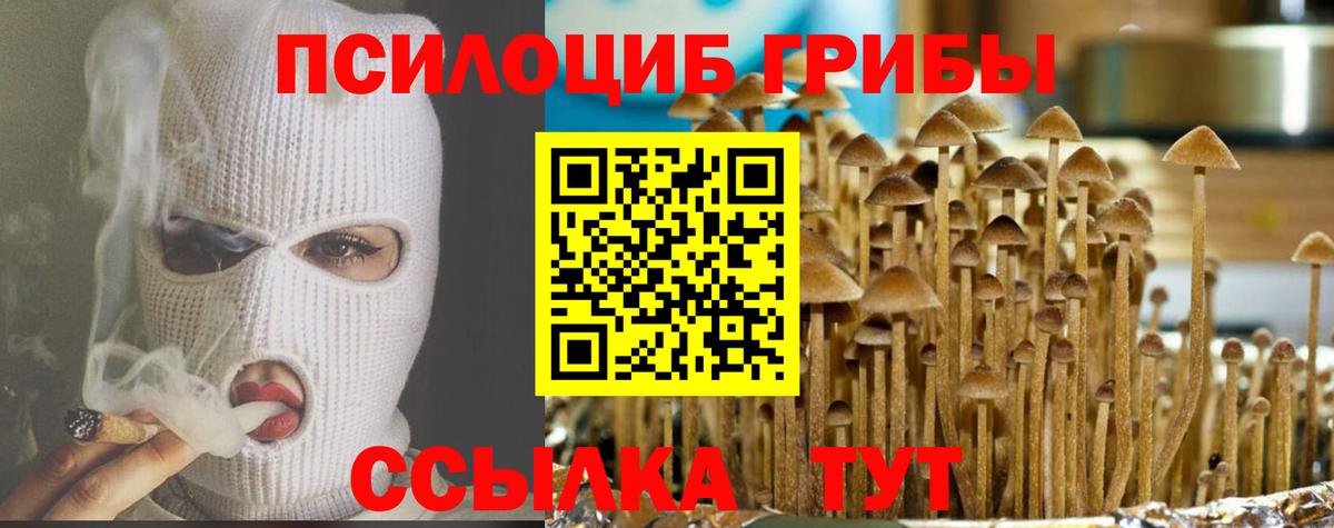 Псилоцибиновые грибы мухоморы  Галлюциногенные грибы MAGIC MUSHROOMS  Саяногорск  Вход с VPN 